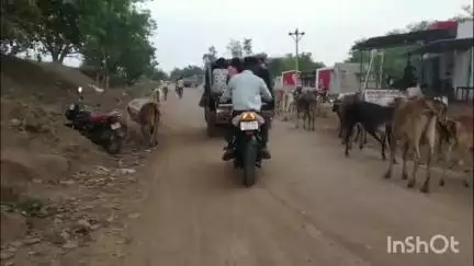 धमनी से कडार सेवार जाने वाली सड़क हो चुकी है गड्ढों में तब्दील प्रतिदिन होता है हादसा नए सड़क की उठ रही मांग #jansamasya