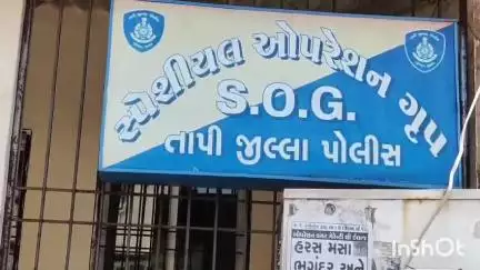 વાલોડ: જિલ્લા SOG પોલીસે શહેરમાં આર બી પ્લાઝા ખાતે ચેકીંગ કરી જાહેરનામાં ભંગ હેઠળનો ગુનો દાખલ કર્યો