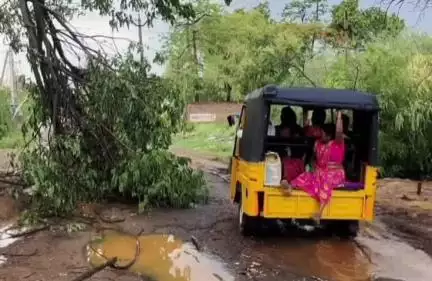 కొండపి: సింగరాయకొండ మండలంలో అకాల వర్షం బలమైన ఈదురు ఘల్లుల వల్ల కూలిపోయిన ఫ్లెక్సీలు, చెట్లు, విద్యుత్ సరఫరాకు అంతరాయం
