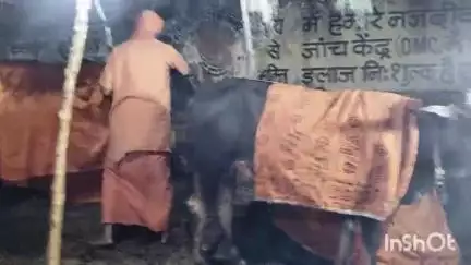 पाटन: थापक वार्ड में अनूठी परंपरा जारी: गौ माता महा आरती से लोगों में जागरूकता