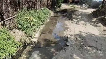 महाराजगंज: भरवलिया में सड़को पर बह रहा घरों का गंदा पानी,संक्रामक बीमारियों का बढ़ा खतरा #jansamasya