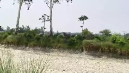 कादीपुर: फूटेहरी गांव के पास नीलगाय की चपेट में आने से बाल-बाल बचा मोटरसाइकिल सवार, नहीं तो हो सकता था बड़ा हादसा