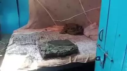 बेरमो: ढोरी: सीसीएल कर्मी की बालकनी का छज्जा गिरा, कोई जान-माल की हानि नहीं