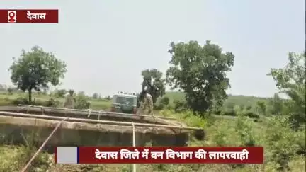 देवास जिले में वन विभाग की लापरवाही, कुएं में गिरे तेंदुए का किया रेस्क्यू