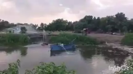 पिछोर: बडेरा के पहाड़पुर में रेत का अवैध उत्खनन, प्रशासन मौन