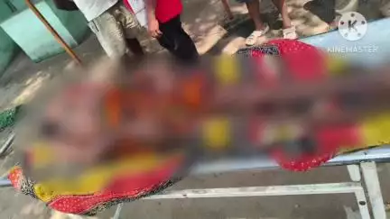 ବଡସାହି: ତୁଙ୍ଗାଧୁଆ ଗ୍ରାମରେ ସାପ ଧରିବାକୁ ଯାଇ ବିଷଧର ସର୍ପଦଂଶନରେ ସାପ ଧରାଳିଙ୍କ ମୃତ୍ୟୁ