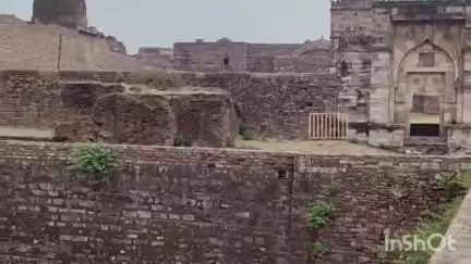 रायसेन: मधुमक्खियों के हमले में युवक की मौत, मानसिक रूप से विक्षिप्त युवक किले के पास छत्ते के पास पहुंचा था