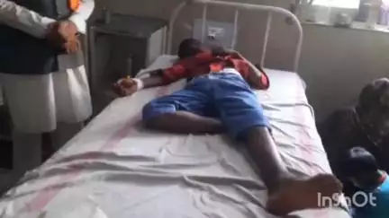 गुना नगर: सोजना चक गांव में बकरी चरा रहे किशोर पर जंगली सूअर का हमला, कुत्ते ने बचाई जान