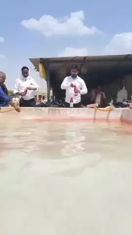 गोरक्ष पीठाधीश्वर महंत योगी आदित्यनाथ महाराज जी के जन्मोत्सव के शुभ अवसर पर सभी गौ माता के लिए  शरबत पीने की व्यवस्था की