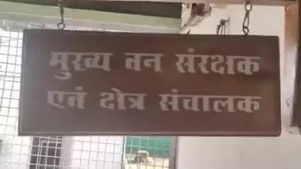 मानपुर: ग्राम राखी में फीमेल टाइगर के हमले से महिला की मौत, पीड़ित परिवार को मिलेगा मुआवजा