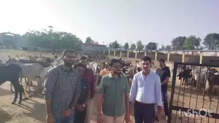 बड़गांव: उदयपुर जिला कलक्टर ने सायरा क्षेत्र का दौरा किया, गौशाला व एनिकट का निरीक्षण कर ग्रामीणों को जागरूक किया