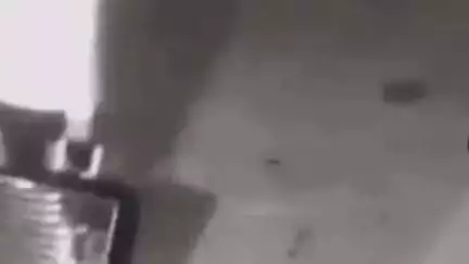 रोहतक: कांग्रेस नेता हिमानी नरवाल की हत्या का खुलासा, पैसे मांगने पर दबा दिया गला