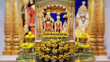 નડિયાદ: યાત્રાધામ વડતાલમાં ભીમ એકાદશીની ભવ્ય ઉજવણી, દેવોને 500 કિલો કેરીનો અન્નકૂટ અને વિશેષ શણગાર કરાયો.