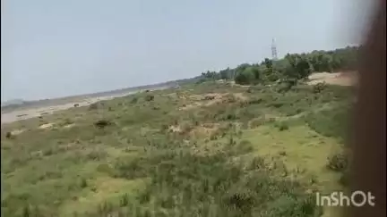 శ్రీకాకుళం: బైరి,కరజాడ ప్రాంతాల్లో ఇసుక అక్రమ తవ్వకాలు,భయభ్రాంతులకు గురవుతున్న స్థానికులు  #localissue