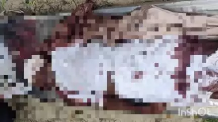 গঙ্গারামপুর: রাস্তা পারাপার হওয়ার সময় পিকআপ ভ্যানের ধাক্কায় মৃত্যু এক ব্যক্তি, দেহ ময়নাতদন্তি পাঠালো গঙ্গারামপুর থানার পুলিশ
