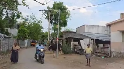 விருதுநகர்: ரூபாய் 34.50 லட்சம் மதிப்பில் கட்டப்பட்டு பயன்பாடு இல்லாமல் கிடக்கும் சமுதாயக்கூடம் 
#localissue