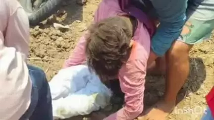 नानपारा: कल्पीपारा चौराहे के पास नीलगाय से टकराने से बाइक सवार घायल, इलाज जारी