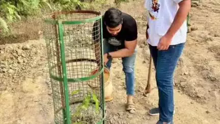बांधवगढ़: पैगाम फाउंडेशन द्वारा 'एक पेड़ मां के नाम' अभियान के तहत सगरा तालाब में पौधा रोपण, सुरक्षा के लिए फेंसिंग लगाई