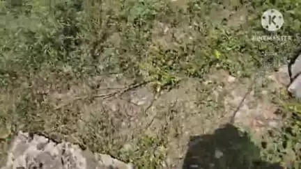 नीमच नगर: ग्राम सगराना में प्रशासन ने 2 करोड़ की शासकीय भूमि से अतिक्रमण हटाया, किसानों का रास्ता खुला