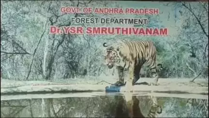 వైయస్సార్ శృతి వనం వద్ద బైకును ఢీకొన్న ఆటో, ఇద్దరు యువకులు దుర్మరణం