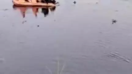 पलवल: पलवल में यमुना में स्नान करते समय डूबे चार दोस्त, 17 वर्षीय युवक का 2 दिन बाद मिला शव, तीन बचे