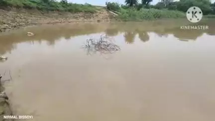 ଡାବୁଗାଁ: ମଇଦଲପୁର ରାଣୀ ସାଗରର ପୁନଃରୁଦ୍ଧାର ଦାବି କଲେ ଅଞ୍ଚଳବାସି #jansamasya