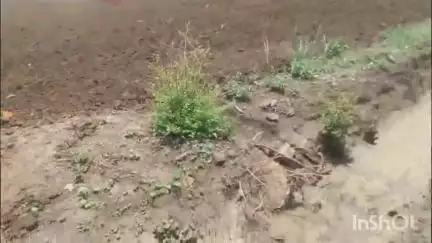 सावनेर: जन समस्या: मंगसा येथे पांदण रस्त्याच्या घोटाळ्यामुळे शेतकरी चिंताग्रस्त