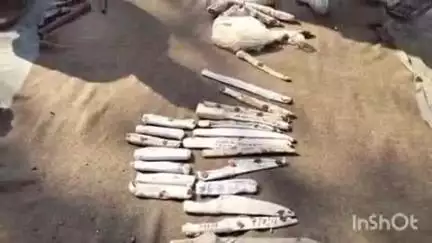खतौली: खतौली पुलिस ने माननीय न्यायालय के निर्देश पर 42 अवैध शस्त्रों का निस्तारण किया, SDM और CO रहे मौजूद