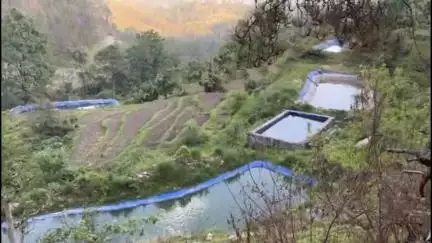 कांडा: कोरोना काल में घर लौटे सिमालीगांव के युवकों ने मछली पालन को बनाया रोजगार का साधन, रिवर्स पलायन का उदाहरण किया पेश