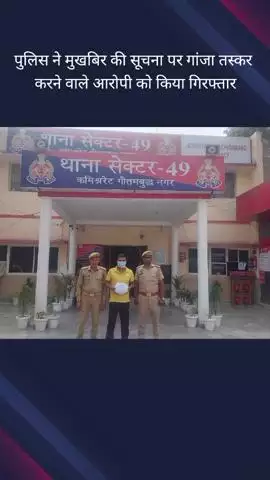 गौतम बुद्ध नगर: सेक्टर 49 से पुलिस ने अवैध गांजे की तस्करी करने वाले एक आरोपी को गिरफ्तार किया, अवैध गांजा बरामद