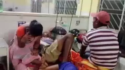 गुमला: खूंटियारी जंगल में कोबरा सांप के डसने से व्यक्ति गंभीर रूप से घायल, सदर अस्पताल में भर्ती