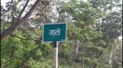जाले: जाले थाना पुलिस ने मस्सा गांव में छापेमारी कर शराब ज़ब्त की