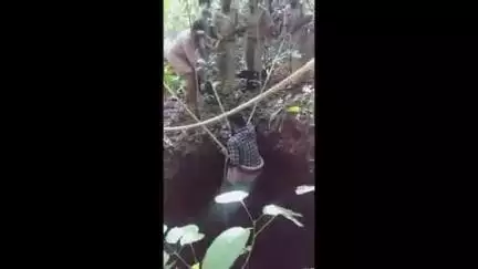 ഹൊസ്ദുർഗ്: തൃക്കരിപ്പൂരിൽ കിണറിൽ വീണ കുതിരയെ അഗ്നിരക്ഷാ സേനയും നാട്ടുകാരും ചേർന്ന് രക്ഷപ്പെടുത്തി