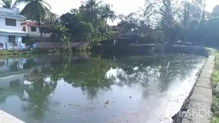പട്ടാമ്പി: മണ്ഡലത്തിലെ 10 പൊതുകുളങ്ങൾ നവീകരിക്കുമെന്ന് മുഹമ്മദ് മുഹ്‌സിൻ എം.എൽ.എ