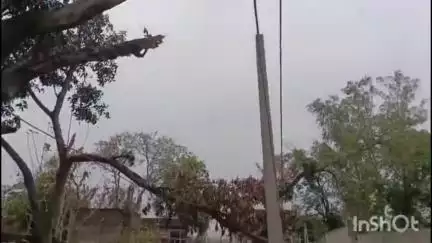 गिधौर: गिद्धौर बाईपास सड़क के किनारे एक पेड़ की टहनी टूटकर हाई वोल्टेज तार पर अटकी, लोगों में बढ़ रही चिंता