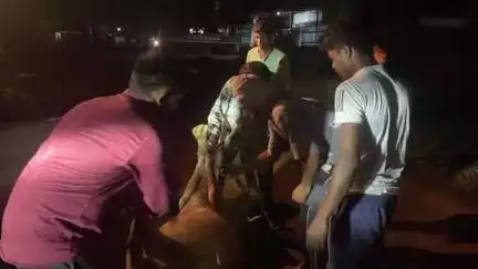 भानुप्रतापपुर: भानुप्रतापपुर में दर्दनाक हादसा, तेज रफ्तार वाहन ने आवारा गाय को रौंदा