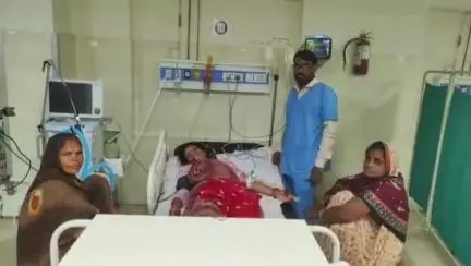 सुनेल: सुनेल में कृषि कार्य के दौरान सर्पदंश से बिगड़ी महिला की तबीयत, जिला चिकित्सालय में कराया गया भर्ती