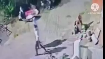 इंदौर: घर के बाहर पत्थर मार रहे युवा किन्नर का वीडियो वायरल, क्राइम ब्रांच कर रही जांच