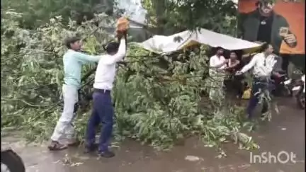 नर्मदापुरम में आंधी से पुलिस वेलफेयर पेट्रोल पंप के सामने सड़क पर गिरी पेड़ की डाल, यातायात पुलिस ने हटाया जाम