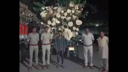શહેરા: શહેરા વનવિભાગે પસનાલ ગામ પાસેથી પાસ પરમીટ વગર ગેરકાયદે લાકડાં ભરેલ ટ્રક સહિત રૂ.૩.૫૦ લાખનો મુદ્દામાલ કબ્જે લીધો હતો