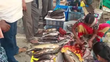పెద్దపల్లి: చాపల కోసం ఎగబడుతున్న ప్రజలు