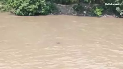 गाजना सिंधारपुर के पास निगोही रजवाहा नहर में तैरता हुआ मिला अज्ञात शव मचा हड़कंप, दियोरिया पुलिस ने शव को पीएम हेतु भेजा