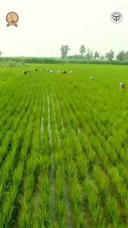 उत्तर प्रदेश में किसानों के लिए सिंचाई की सुविधा में बढ़ोत्तरी हुई है…