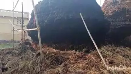 घोसी: बेलई गांव में असामाजिक तत्वों ने पूर्व मुखिया के खलिहान में नेवारी के पुंज में लगाई आग