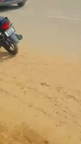 बेलीपार थाना क्षेत्र अंतर्गत 
दिन दहाड़े गोली मारी बदमाशों ने
दूर घटना स्थल महोबा, वाराणसी रोड
गोरखपुर