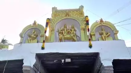 சேரன்மகாதேவி: சிங்கிகுளம் அருள்மிகு கைலாசநாதர் சுவாமி திருக்கோவிலில் மகா கும்பாபிஷேகம் நடைபெற்றது திரளான பக்தர்கள் தரிசனம்