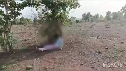 अशोक नगर: राजपुर: वन विभाग की नर्सरी में 25 वर्षीय युवक फंदे से लटका मिला, पास में थी मोटरसाइकिल