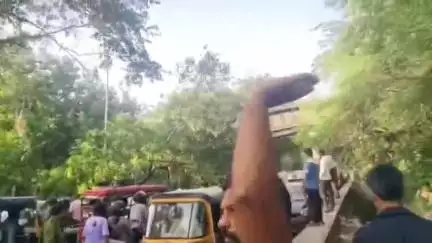 अजमेर: रेलवे अस्पताल अजमेर के सामने विशाल नीम का पेड़ टूटकर सड़क पर गिरा, यातायात रहा बाधित