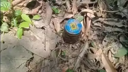 শান্তিপুর: আম বাগানের ভিতর থেকে বোমা উদ্ধারের ঘটনায় চাঞ্চল্য শান্তিপুর মেলের মাঠে, উদ্ধার 3 টি বোমা, তদন্তে শান্তিপুর পুলিশ
