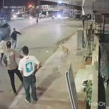 અમદાવાદ શહેર: શહેરમાં પુનિતનગરમાં અસામાજિક તત્વોએ વેપારીને માર્યો માર, સીસીટીવી આવ્યા સામે